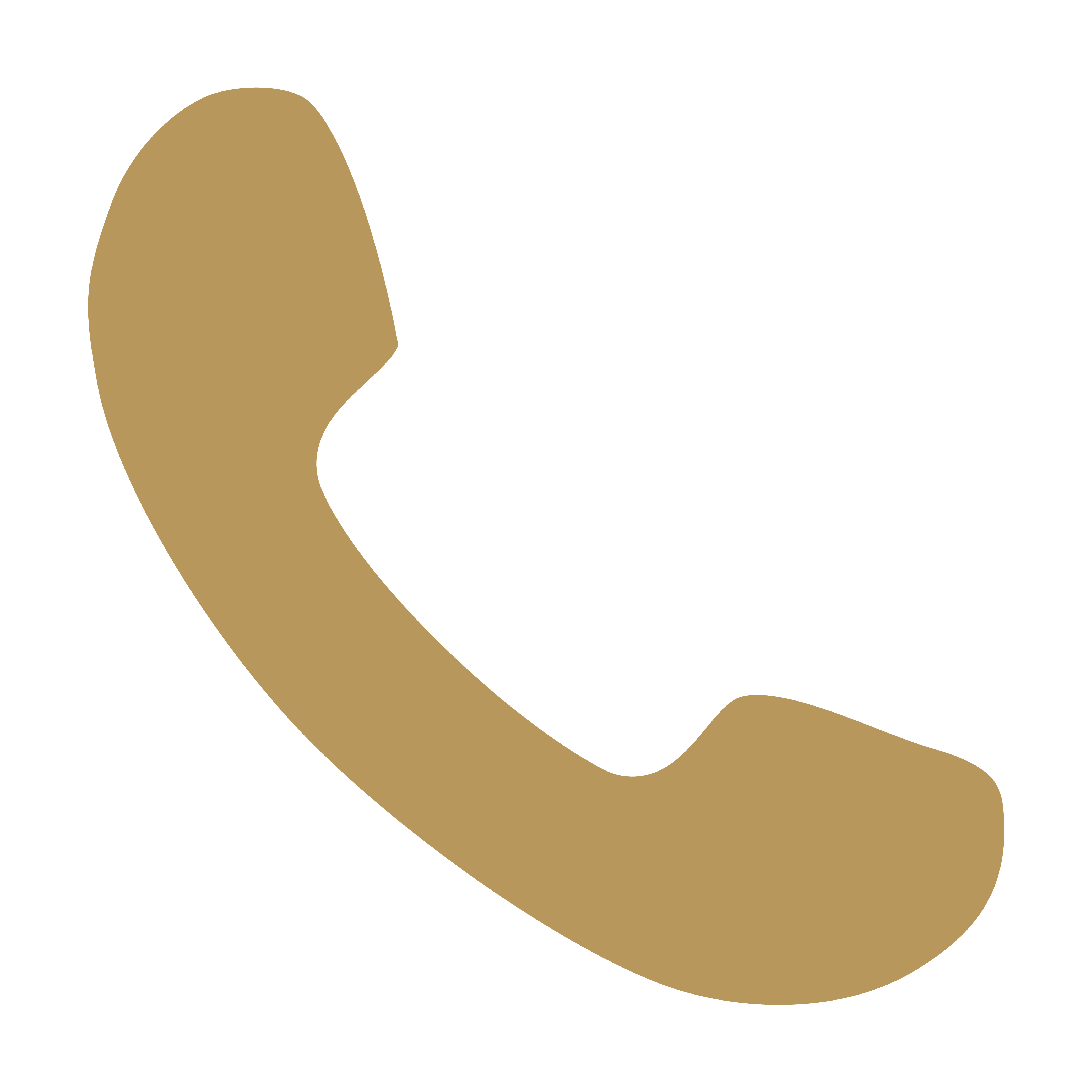 Phone Icon